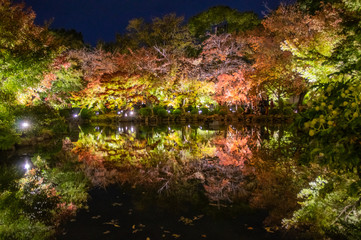 Red leaves light up at Kyoto Toji in Japan