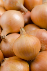 Pure organic raw onion