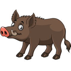 Cartoon funny wild boar