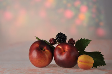 Fruit Stillife with nectarines