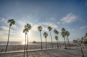 Manhattan Beach pier with aplm trees along the beach in California