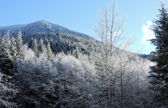 First Snow in West Central Cascades 2018 - 1