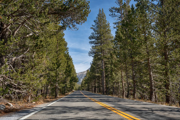 Fototapeta premium Road in Yosemite National Park in California