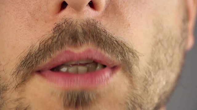 man speaks, closeup male mouth with a beard and mustache, gray background, front view