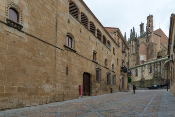 Fototapeta na wymiar PLASENCIA, CACERES, SPAIN - NOVEMBER 18, 2018: House of the Archdeacon of Trujillo. In the background you can see the cathedral