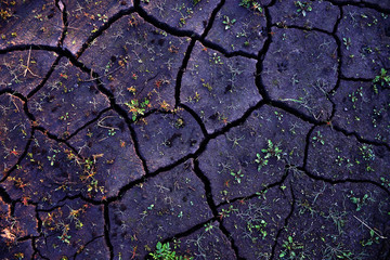 cracked ground