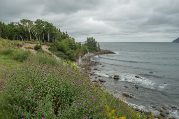 Fototapeta na wymiar Cape Breton Shoreline