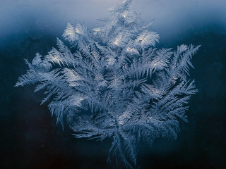 Winter Holidays Season Fantasy World Concept: Macro Image of Natural Ice Crystals Patterns on a...