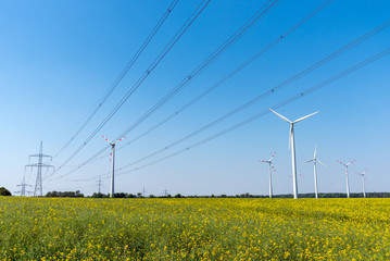 Field of rapeseed with high-voltage lines and wind turbines in the back seen in Germany