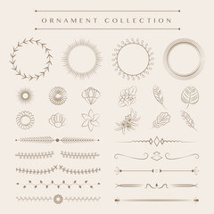 Ornaments collection vector design concept