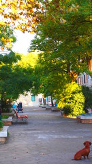 遠くを見つめる犬