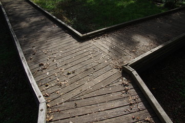 木道の分かれ道