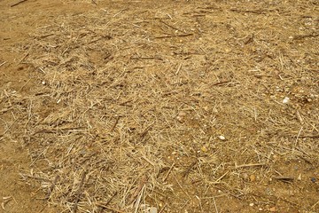 Straw, stones and sand