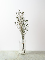 Bouquet of dried and wilted green Gypsophila flowers in glass bottle on matt marble floor and white background