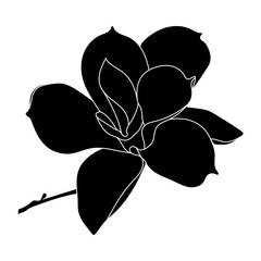 Obraz premium Graphical black flower illustration. Vector.