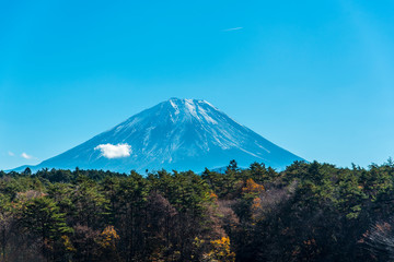 Fototapeta premium 精進湖と富士山