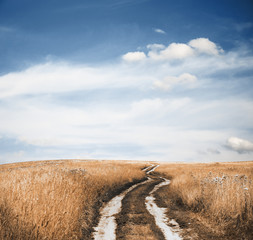 road in the fields