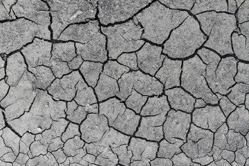 Cracked soil ground. Closeup