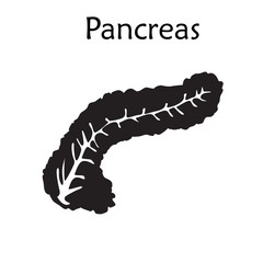 Pancreas. Anatomy silhouette vector illustration. White background.