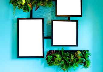 Wall photo frame with hanging plant and flower on concrete wall background