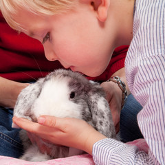 Portrait of a scandinavian young boy in studio with a rabbit