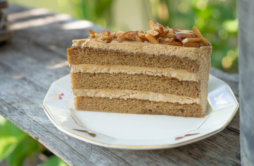 One piece of coffee cake on white plate in nature garden.