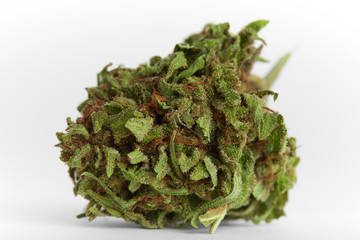 Close up macro photo of prescription and recreational medical marijuana hybrid strain flower indica dominant OG on white background