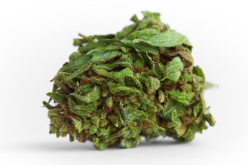 Close up macro photo of prescription and recreational medical marijuana hybrid strain flower indica dominant OG on white background