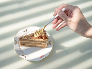 One piece of coffee cake on white plate in nature garden on white table.