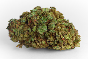 Close up macro photo of prescription and recreational medical marijuana hybrid strain flower indica dominant OG on white background