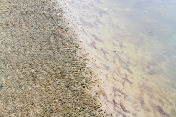 Sand texture after tidal
