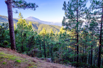 Tenerife, Canary Islands, Spain, Teide Volcano. Teide volcano is the main attraction of the island of Tenerife. The volcano itself and the area that surrounds it form the Teide national Park.