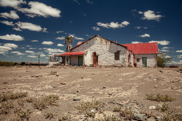 Old ruined house and palm tree in the desert on a hot day