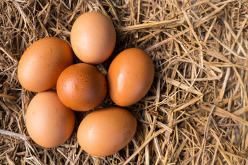 Eggs on a chicken nest made of straw are in the basket.Fresh eggs from the farm every day.