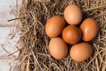 Chicken eggs on a straw with white wooden are background.Fresh eggs from the farm every day.