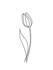 Tulip line art - 237120276