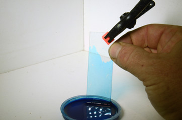 Demonstration of capillary effect; blue ink climbs up in the small gap between two microscope slide glasses.