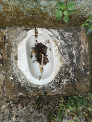 Dirty and abandoned inhospitable squat toilet © Cyrsiam