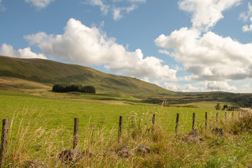 Schottisches Panorama mit Windrädern am Horizont
