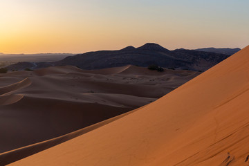Fototapeta na wymiar Global warming concept. Lonely sand dunes under dramatic evening sunset sky at drought desert landscape
