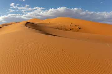 Fototapeta na wymiar Sahara deserts and Sand Dunes Landscape at Sunrise