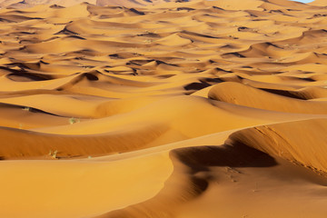 Fototapeta na wymiar Sahara Sand dunes at sunset light on the background of dramatic sky clouds