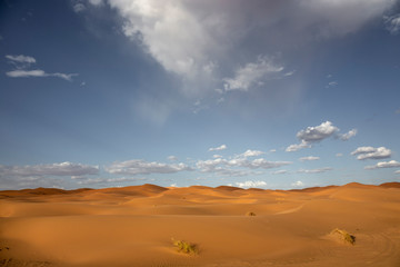 Fototapeta na wymiar sand dunes in the desert of sahara in morocco