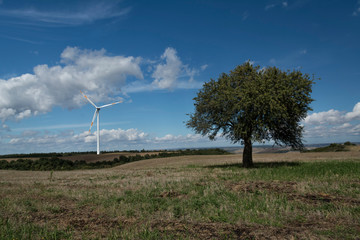 Natura e tecnologia