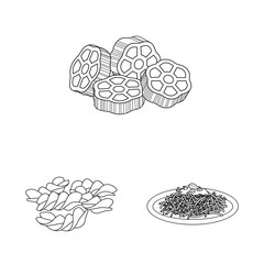 Vector illustration of pasta and carbohydrate icon. Set of pasta and macaroni stock symbol for web.