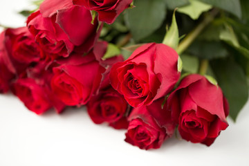 flowers, valentines day and holidays concept - close up of red roses bunch