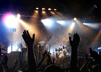 crowd at the concert