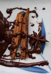 chocolate cinnamon star anise on white background
