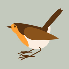robin bird vector illustration, flat style,profile