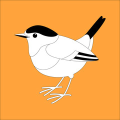 robin bird vector illustration,  lining draw ,profile 
